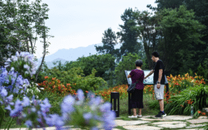 Eco Forum Global Guiyang 2025: Guizhou’s Green Development Milestone