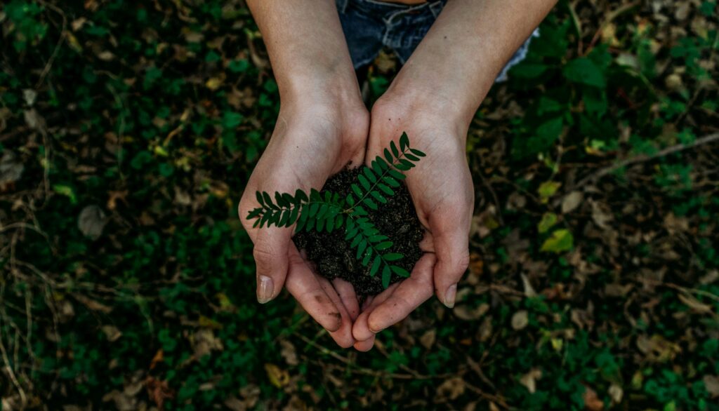 world environment day