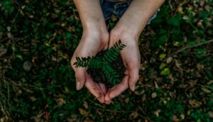 world environment day