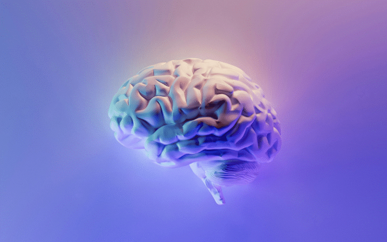 Understanding Working Memory: The Brain’s Mental Workspace