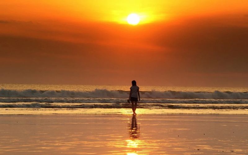 International Wellness Day Celebration Begins Today: Nepal’s Historic Moment, April 15