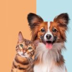 Animal Birth Control