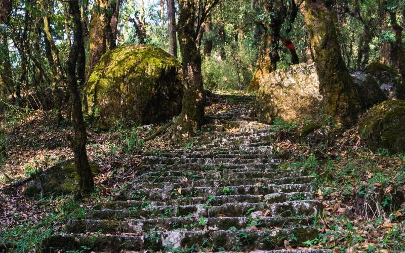 Kathmandu, Day Hikes, Shivapuri Peak
