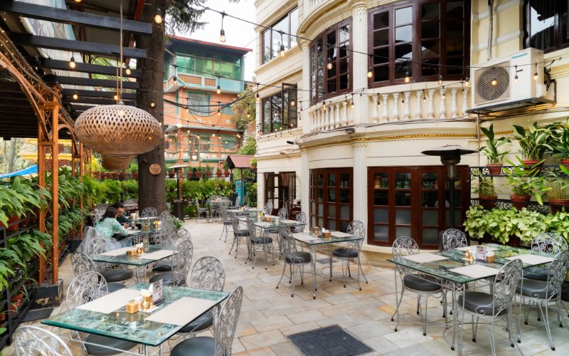 Yin Yang Restaurant: The Authentic Taste of Thailand, Buzz April 2026 Feature