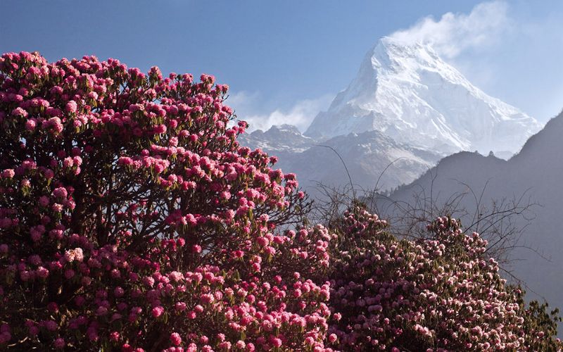 Kathmandu, Day Hikes, Phulchowki